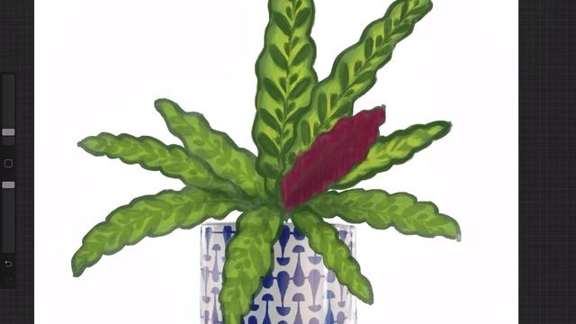 Watch Me Draw - Rattlesnake Plant Animation! - Calathea Lancifolia смотреть онлайн