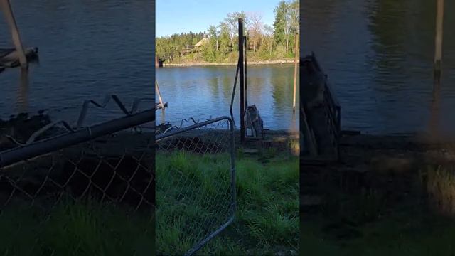 VID 20200416 083403644 смотреть онлайн