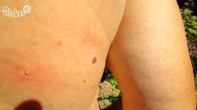 Лечим себя сами, пчёлами смотреть онлайн