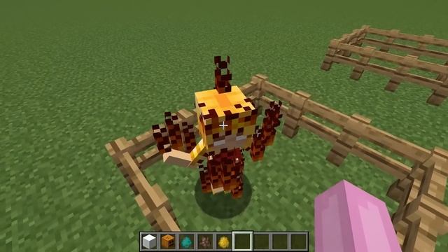 Minecraft Mobs But Girls