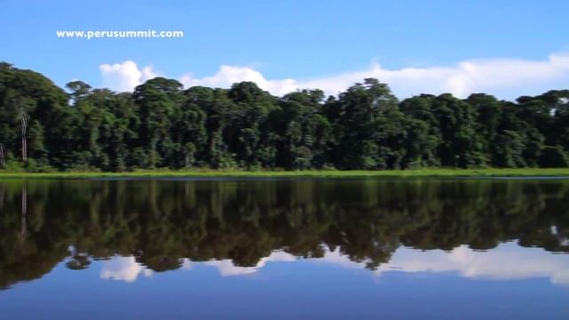 Manu National Park, Tambopata National Reserve By Peru Summit (Ultimate & Premium Adventure) смотреть онлайн