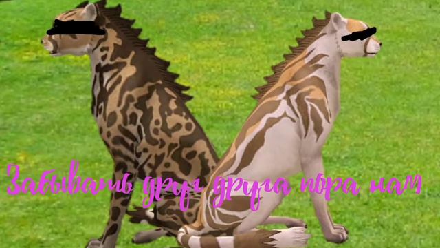 Wcmv Самый дорогой человек {Wildcraft} смотреть онлайн