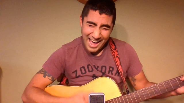 Dude I Totally Miss You (Cover) смотреть онлайн
