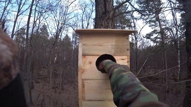 Гоголятники смотреть онлайн
