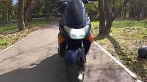 Краткий обзор SUZUKI AVENIS 150