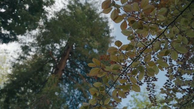 "Люди - Родина моя" - Е. Евтушенко (Between The Lines) смотреть онлайн