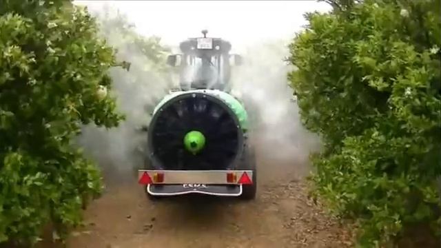 FEDE FUTUR смотреть онлайн