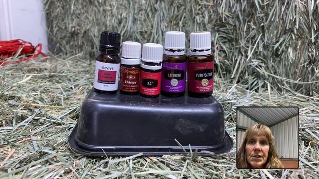 Essential Oils, Horses and Barns Help Prevent Spread of Bacteria and Viruses смотреть онлайн