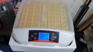 Не покупайте Инкубатор для яиц модели 56S