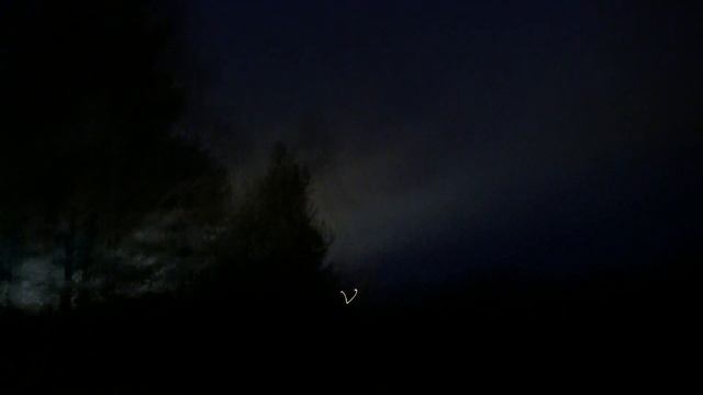 Непонятная летающая светящаяся фигня над лесом смотреть онлайн