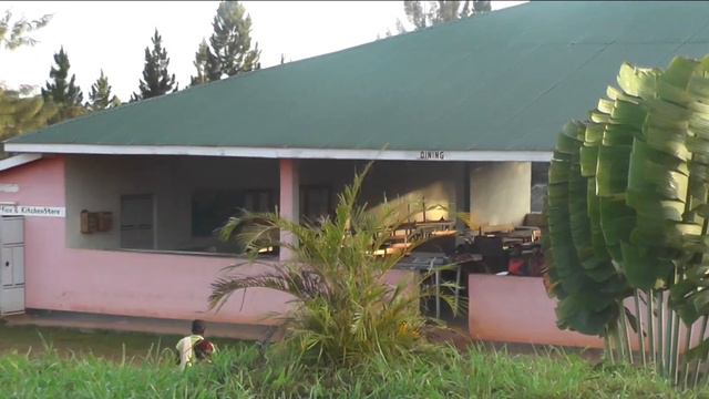 Royal Van Zanten Uganda - Human capital daycare and clinic смотреть онлайн