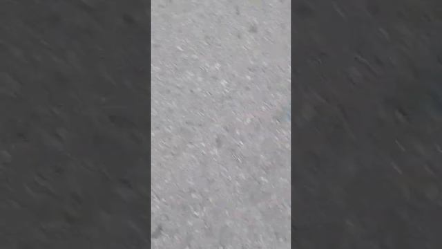 Когда появляются матки какой день месяца объяснение смотреть онлайн