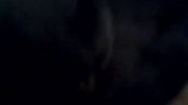 Типичный день моего кота[sveta_123] смотреть онлайн