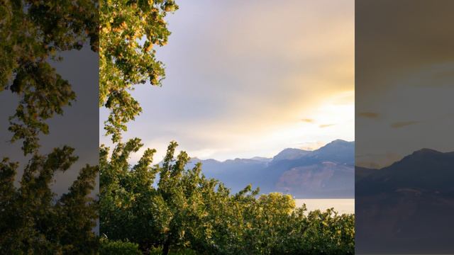 Hogwild (Extended Version) - Mongo Bongo смотреть онлайн