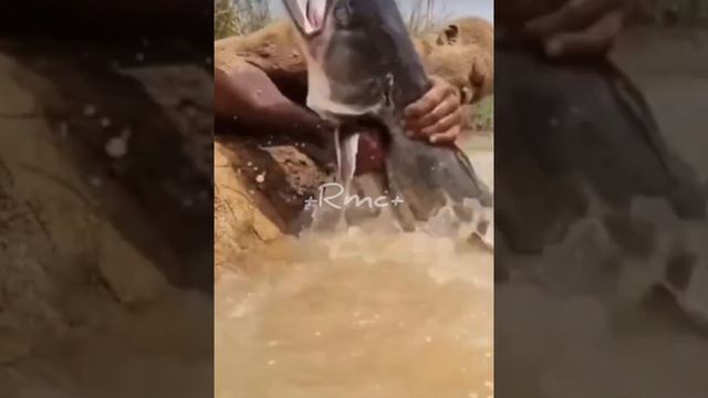 УДАЧНЫЕ МОМЕНТЫ смотреть онлайн