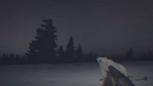 Белый медведь 2026