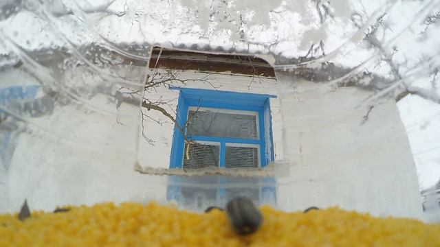 Жадный воробей. смотреть онлайн