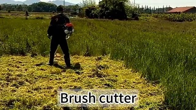 CG630 Gasoline Brush Cutter 630 Petrol Grass Trimmer 3T смотреть онлайн