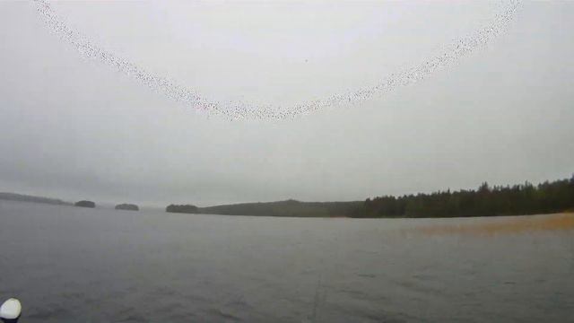 Deps Balisong SP смотреть онлайн