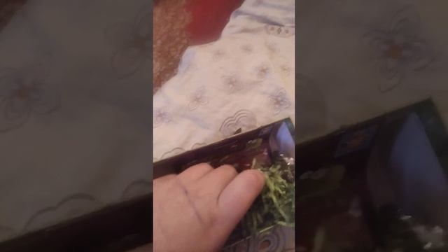 открытие подарка от одноклассницы на новый год смотреть онлайн