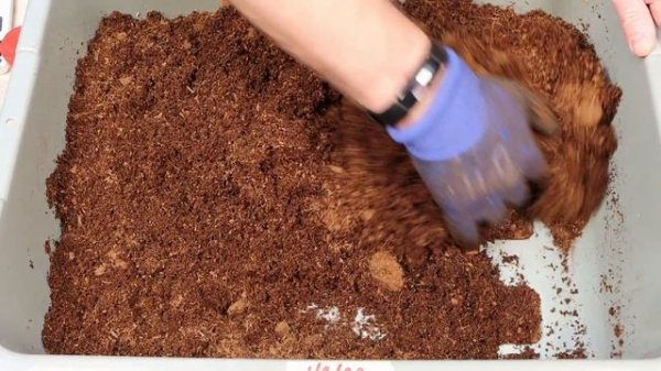 European Nightcrawlers (ENC) - Initial Bin Setup 01/09/2022