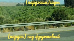 ИВРИТ С НУЛЯ.   УРОК 65.                    Репортаж с дороги.