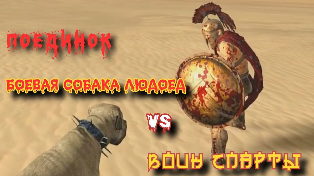 ✠ Боевая собака людоед против Воина Спарты ✠ Схватка ✠ смотреть онлайн