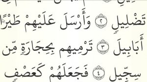 МЕДЛЕННОЕ ЧТЕНИЕ КОРАНА С ОБЪЯСНЕНИЕМ. Сура 105 аль-Филь