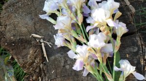 Вязовлог: три пары новых спиц, довязала джемпер. Много вяжу и много болтаю)))