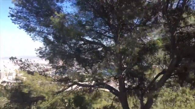 Пусть/Palma de Mallorca смотреть онлайн