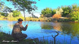 Рыбалка на карася. Ловля на поплавочную удочку. Донка (фидер, закидушка) выручает.