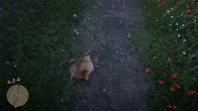 Red Dead Redemption 2 Прохождение сюжета игры Глава 2 у нас новый конь смотреть онлайн