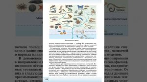 Биология 8к СТР-187 Основные этапы развития животных