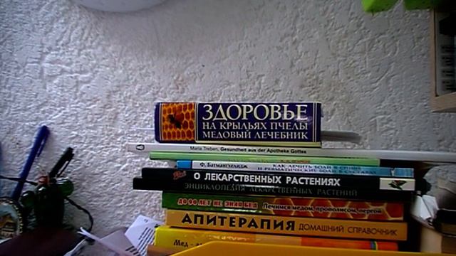 10. Как похудеть? Б. Болотов. смотреть онлайн