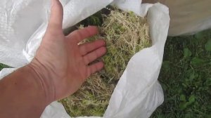 Политерм, джут, мох межвенцовые утеплители