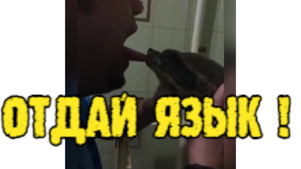 А теперь-Я !