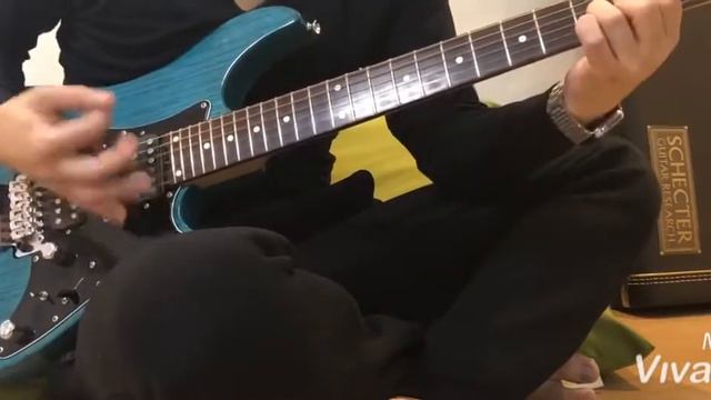 SCHECTER(シェクター) EX-24-STD-FRT смотреть онлайн