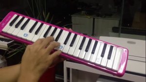 Swan SW37J 37-Keys Accordion Melodica Oral Piano Child Student Beginner Musical Instruments