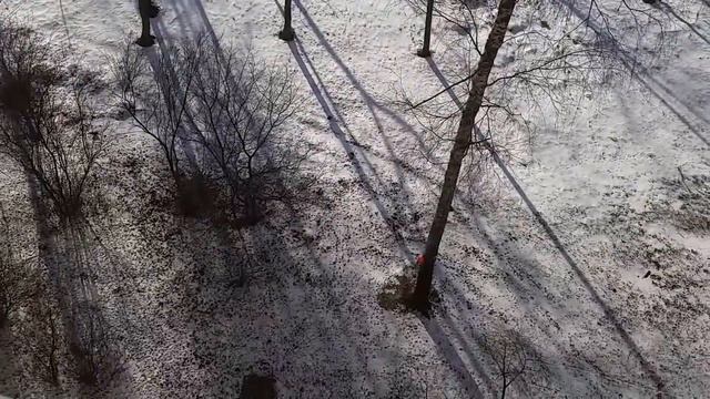 КАРЛУША ВНОВЬ НА ВОЛЕ... СОЛНЦЕ ДЛЯ ВАС... 10 02 20... смотреть онлайн