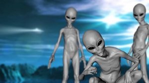 Виды инопланетян. Расы представителей инопланетных цивилизаций.  Серые, норды, инсектоиды, ануннаки
