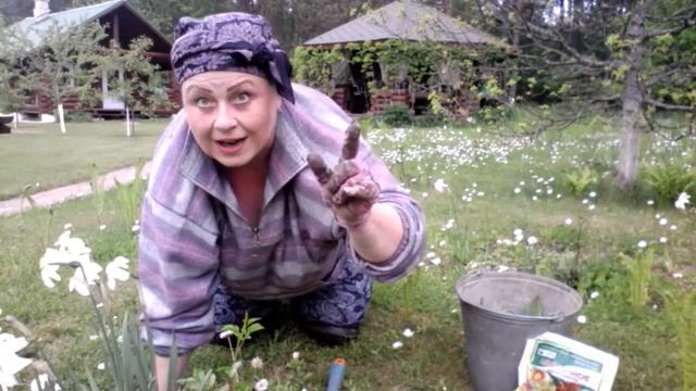 Анекдоты от бабушки...Как бабы на 6 этаж ходили... смотреть онлайн