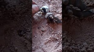 автомобиль урал.Датчики тормоза.