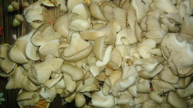 Мясо с грибами в сливочном соусе. смотреть онлайн