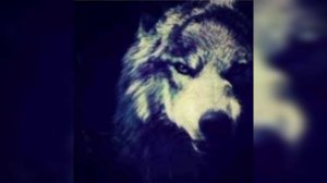 Эти изгибы твоего тела меня сводят до предела...ORIGINAL MUSIC