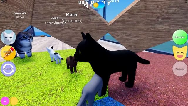 ИЩЕМ МАМУ В ИГРЕ ПРО КИСИКОВ! Roblox Kitten Game смотреть онлайн