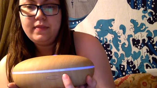 Smiley Daisy Hibiscus Humidifier Review!