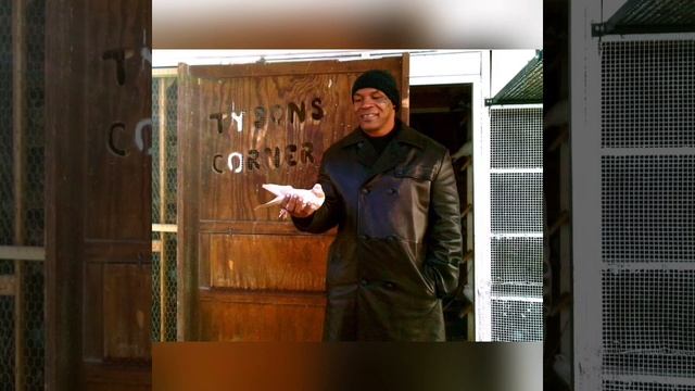 Майк Тайсон: история взлётов и падений! смотреть онлайн