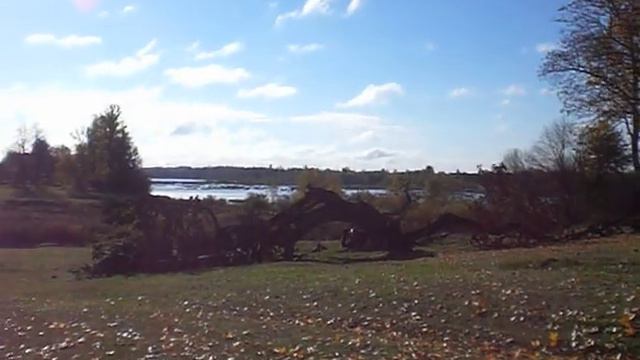 Внуков много не бывает. 2010 год. Доле. Осенние листья и Данила смотреть онлайн