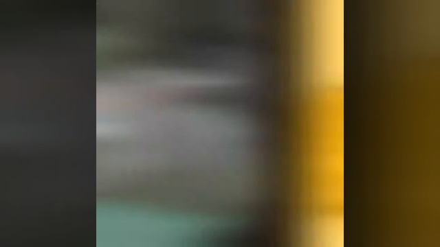 Долгохвост и другие коты смотреть онлайн