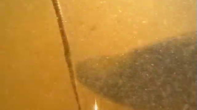 [Школа рыболова] - Рыбалка выходного дня смотреть онлайн